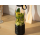 Huslog Blender bezprzewodowy TO GO 315W - 1571370 - zdjęcie 7
